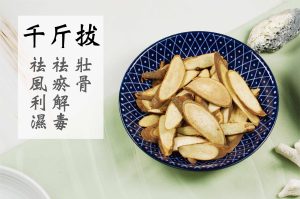 除風祛濕筋新湯 - Image 9
