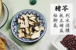 除風祛濕筋新湯 - Image 4
