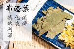 清熱消腫祛濕茶 - Image 5