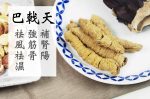 全方位護腎湯 - Image 5