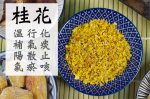 消脂醒胃酸梅湯 - Image 7